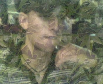 c moi simo